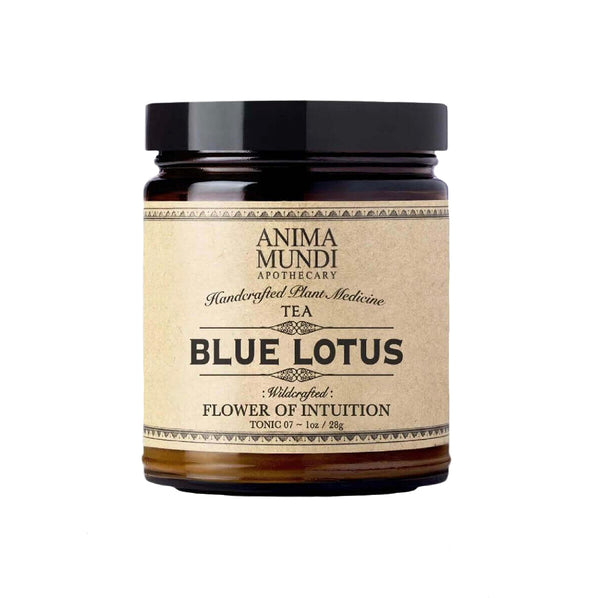 BLUE LOTUS | Flower of Intuition
