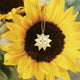 Inti Pendant Necklace