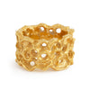 Lands of Desert Ring