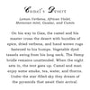 products/AP_Candle_8oz_Camel_sDesert5.jpg